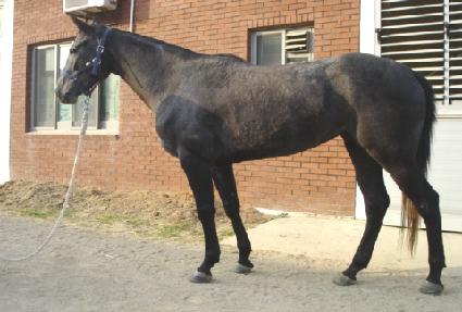 ���ɻ��� ����