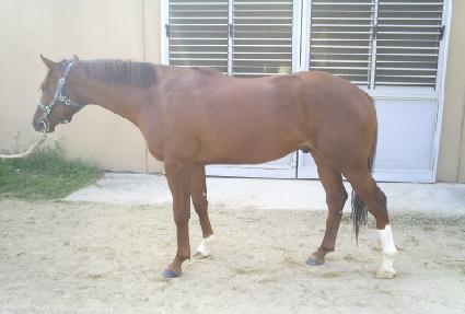 ��������� ����