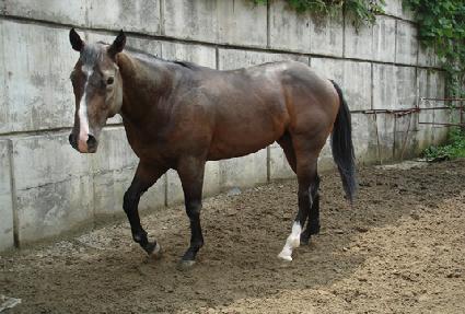 �ظ���ġ ����