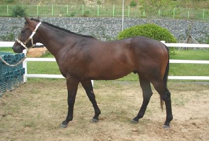 ���������ϸ� ����