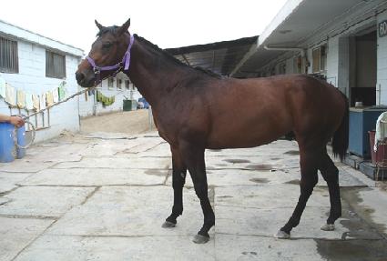 �ۼ���Ʈ�Ŀ� ����