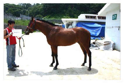 �������� ����