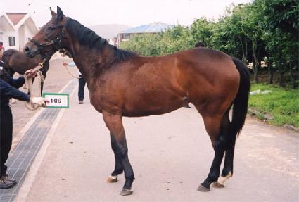 Ȳ�ݳ��� ����