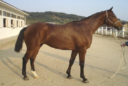 ����õ�� ����