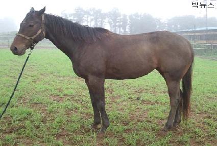 �򴺽� ����