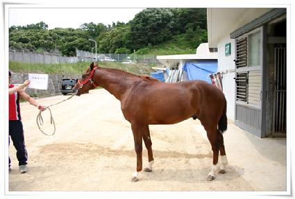 �����ǴϽ� ����