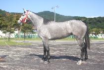 �׷����Ŀ� (GRAY POWER) ����