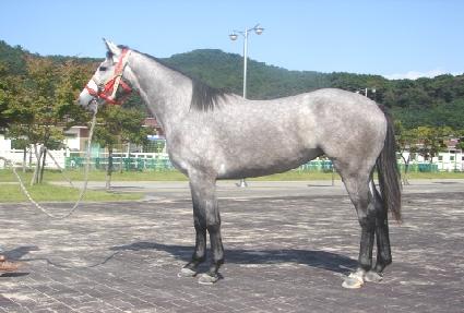 �׷����Ŀ� ����