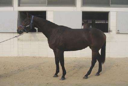 ������� ����