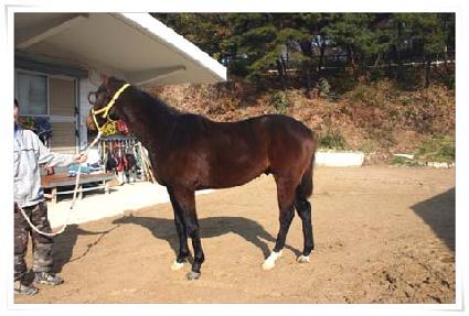 �ռ� ����