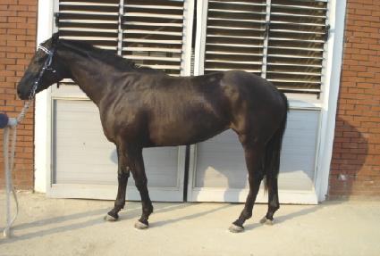 ��ũ���� ����