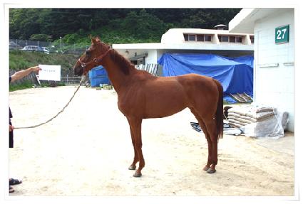 �����ϸ��� ����