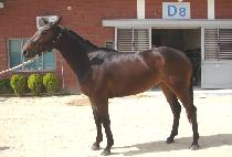 ��ī��ȣ�� (SKY HOSU) ����