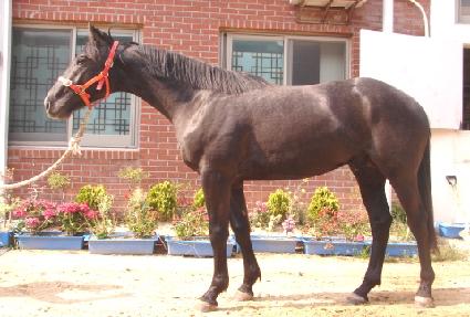 �ޱ׷��� ����