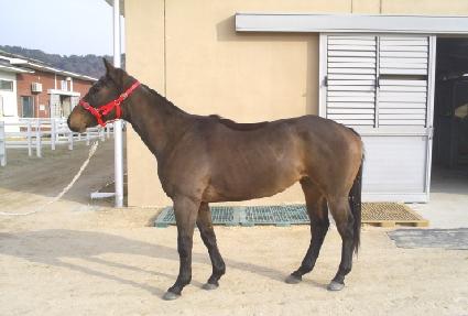 ���ѵ��� ����