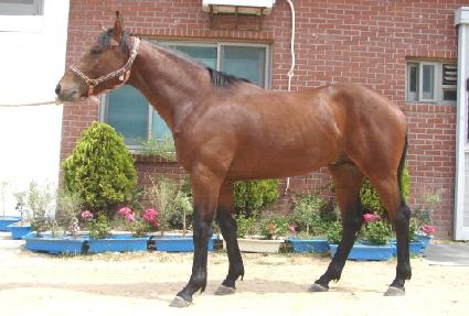 ���߸��� ����