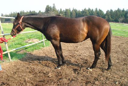 �̽�Ÿ ����