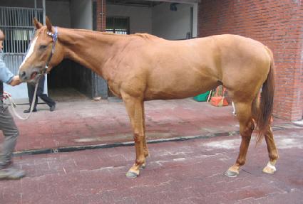 °���Ƽ ����