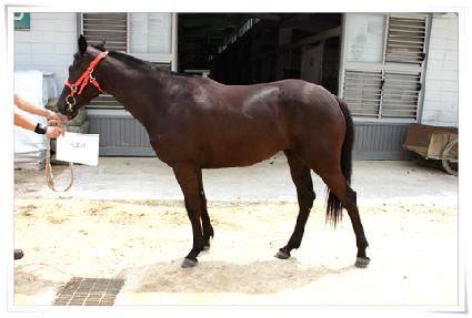 ��ȣ�� ����