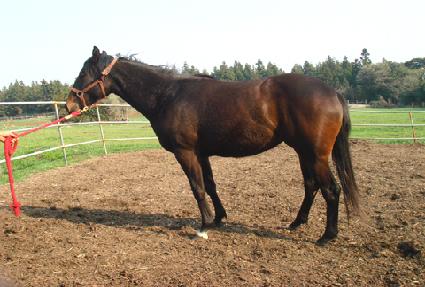 ���̽� ����