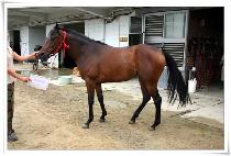 ���ظ��� (DONGHAEMANSEON) ����