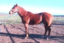 �ູ���ָ� (HAENGBOKHAN JUMAL) ����