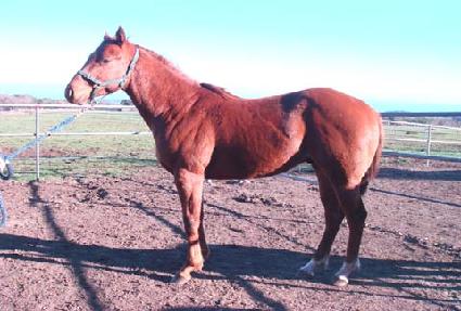 �ູ���ָ� ����