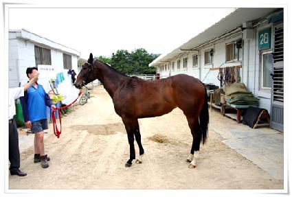 ����Ƽ���� ����