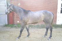 �鿵�� (BAEGYEONGSEONG) ����