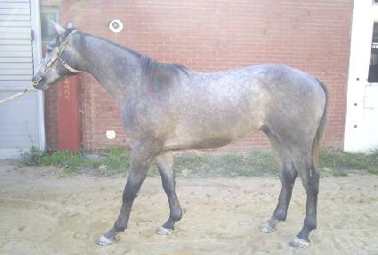 �鿵�� ����