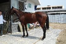 �Ͽ��� (IRWOLSIN) ����