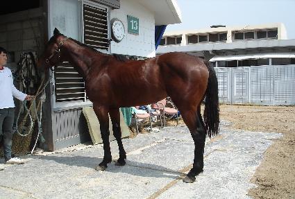 �Ͽ��� ����