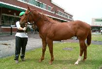 �츮���� (URIGUDAN) ����