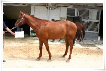 �������� (DONGHAE WINNER) ����