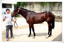 �﹫�� (SAMMUAE) ����