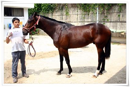 �﹫�� ����