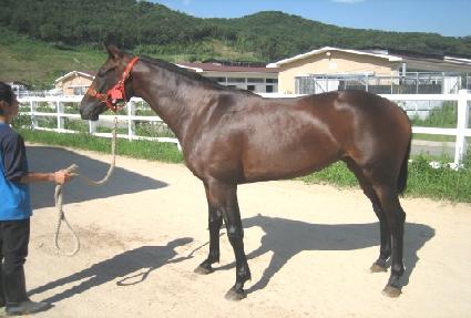 ����Ҹ� ����