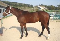 ������ (TODAY) ����