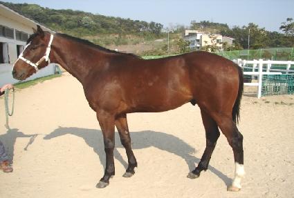 ������ ����