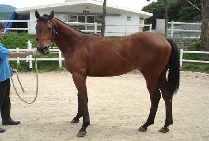 ���� ����