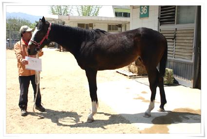 ����� ����