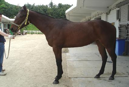 �����Ӱ� ����