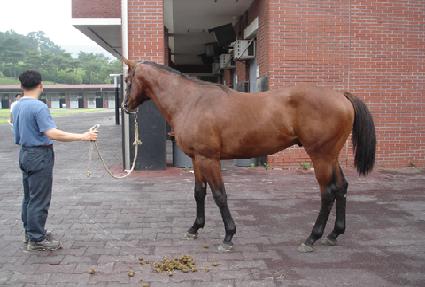 ���彺ī�� ����