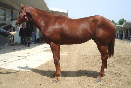 �Ѽ� ����