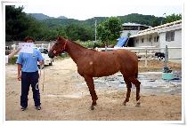 �ڽ���İ (COSMO COP) ����