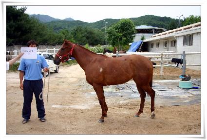 �ڽ���İ ����