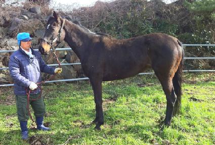 ���� ����