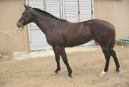 ���� ����