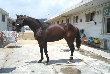 �۶��̵���Ƽ ����