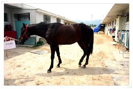 �����İ ����